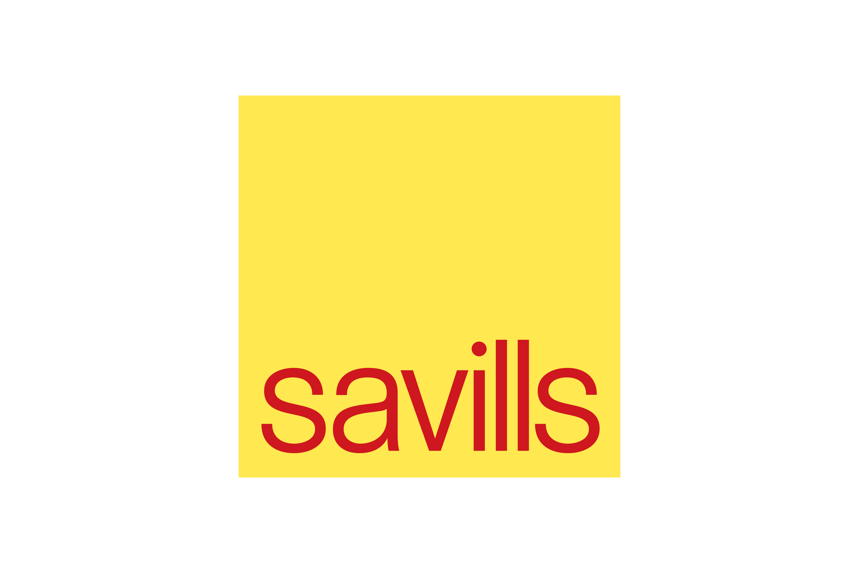 Partner Logo 13